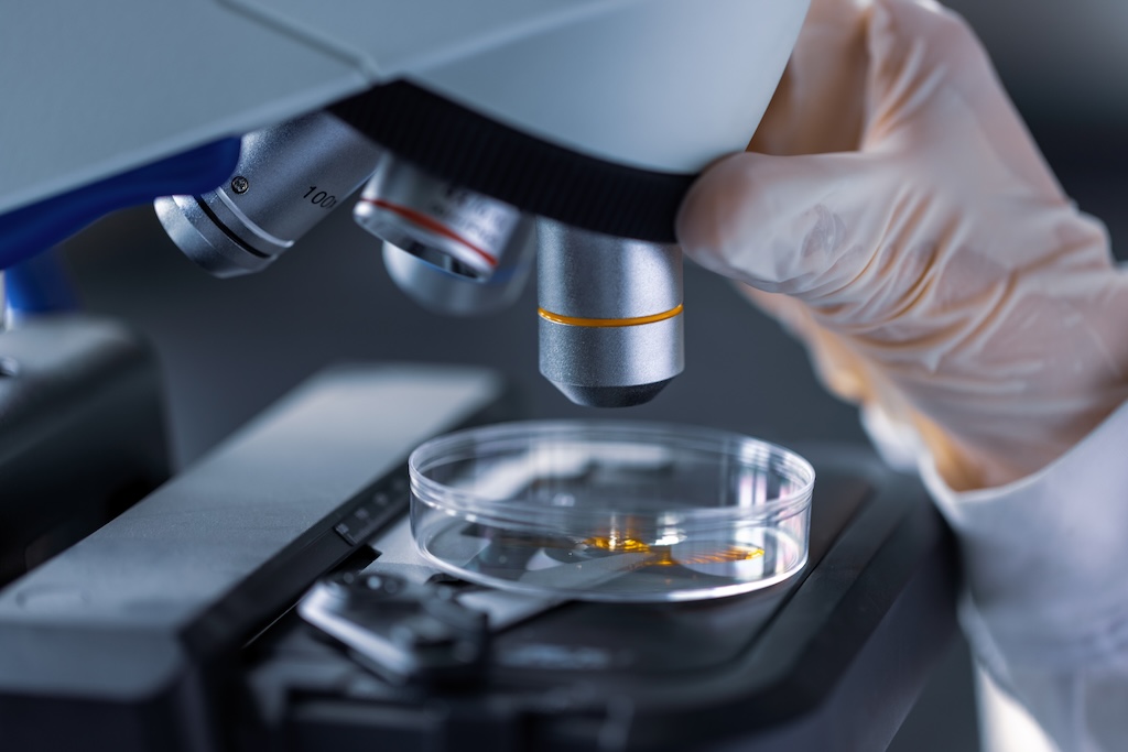 A lab technician is using a microscope to examine an unknown specimen